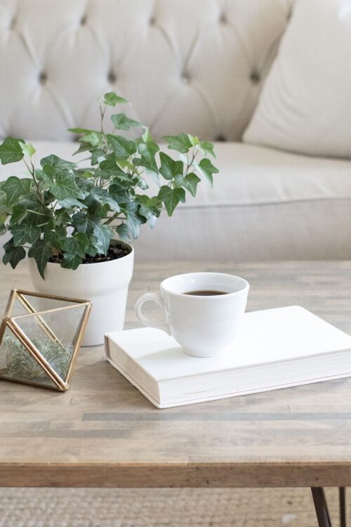 Ebook: Gestioná tu equipo